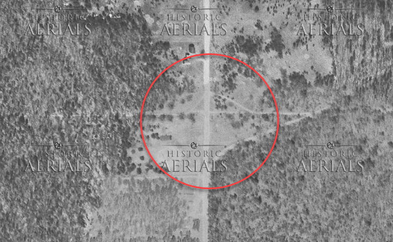 Damon - 1961 (newer photo)